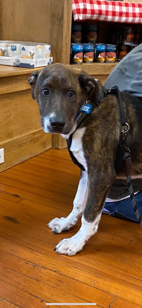 Axel