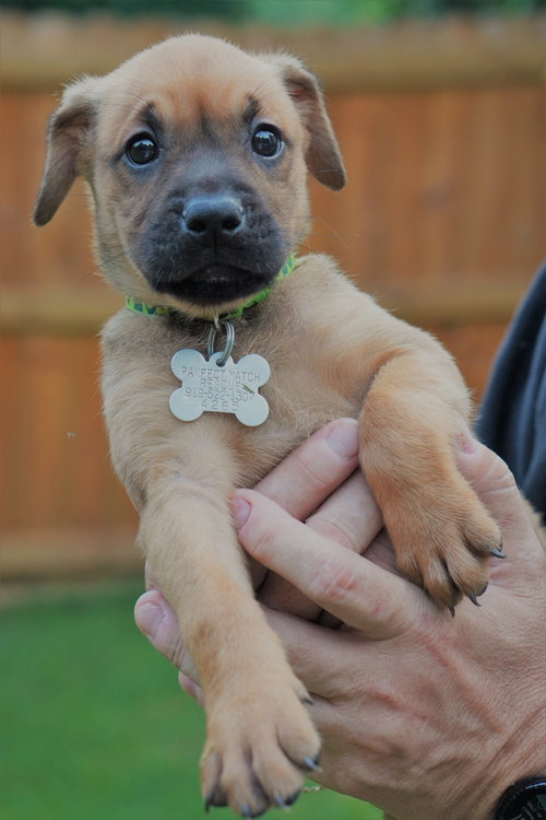 Athena