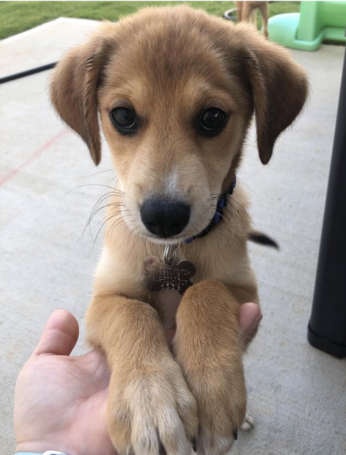 Copper