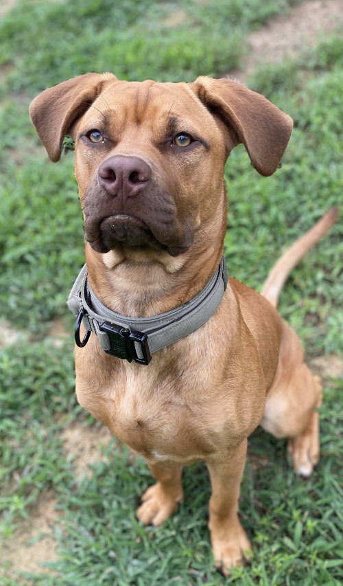 Winston .... Courtesy Listing