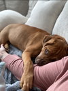 Winston .... Courtesy Listing