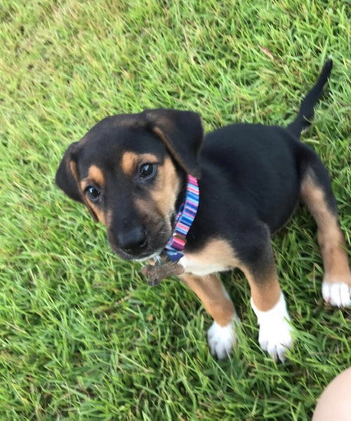 Max