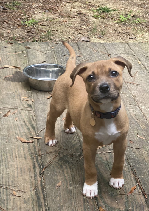 Lupita