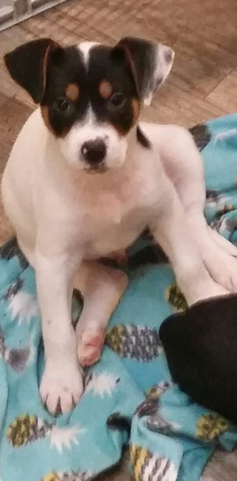 Casper