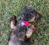 Lucy