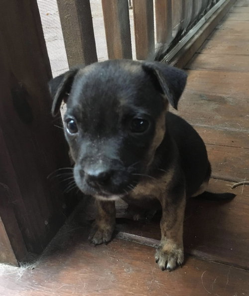 Winnie