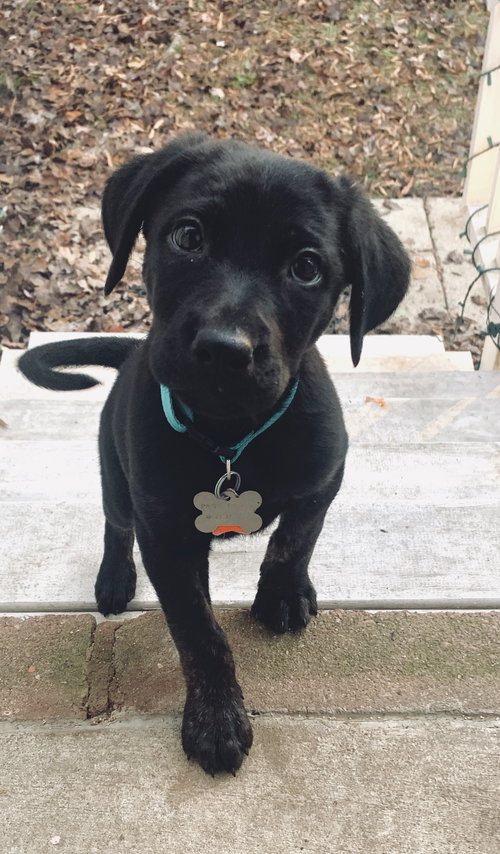 Lil Tyke