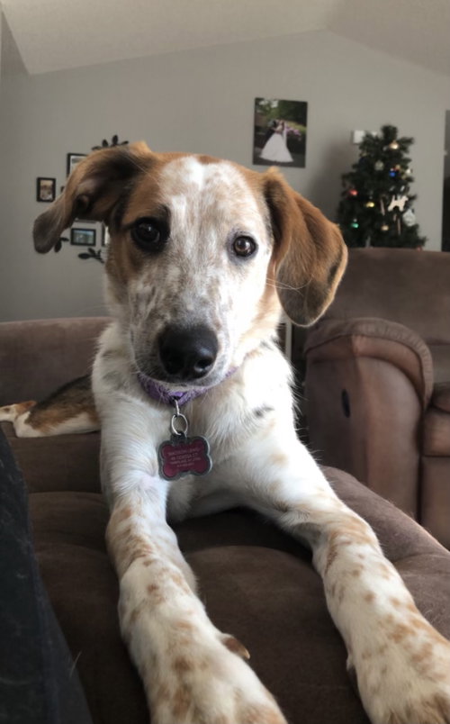 Nellie
