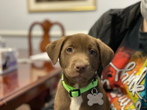 Kelly