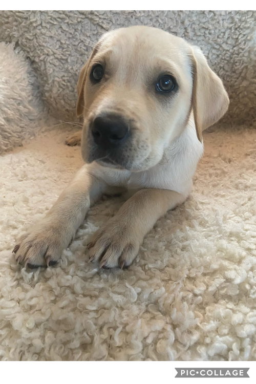 Ruby