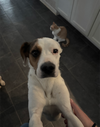 Zoe AKA Dottie