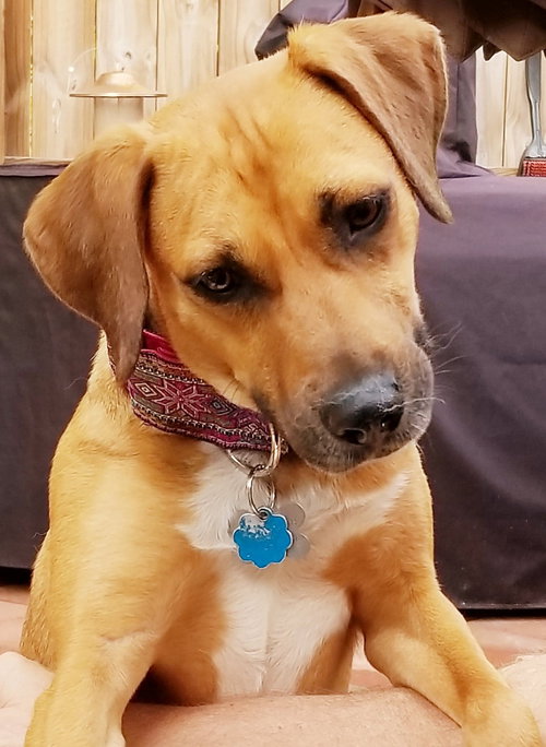 Lucy