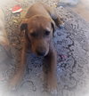 Rusty