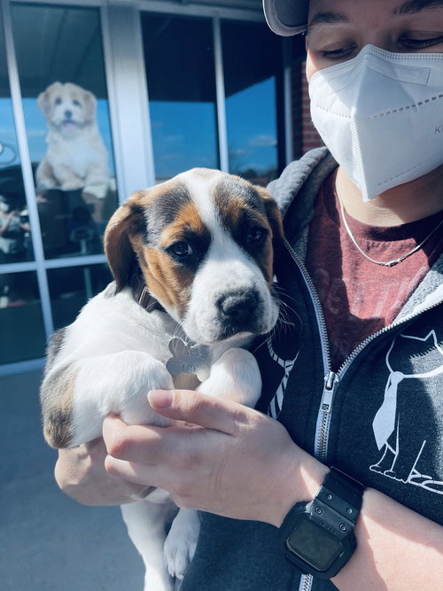 Douglas 