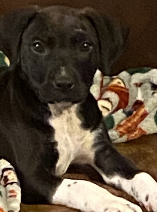 Marco
