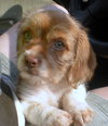 Kendi-Application Pending
