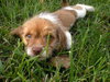 Kendi-Application Pending