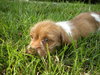 Kendi-Application Pending