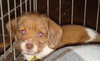 Kendi-Application Pending