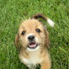 Kiska-Application Pending
