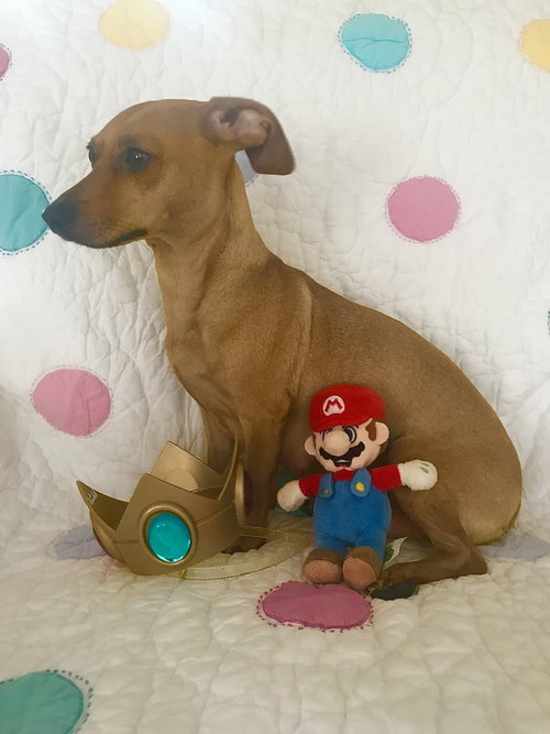 Princess Peach