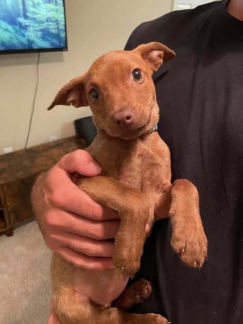 Chloe