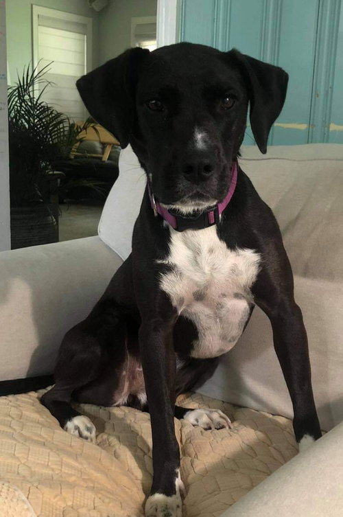 Thena (courtesy)