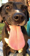Thena (courtesy)