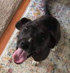 Thena (courtesy)