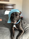 Ben