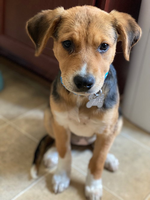 Charlie