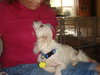 Alibi - Adoption Pending