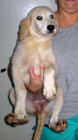 Maxine