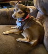 Maggie