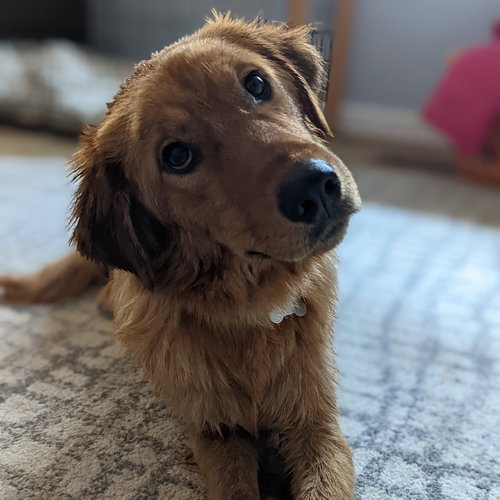 Molly