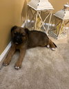 Charlie