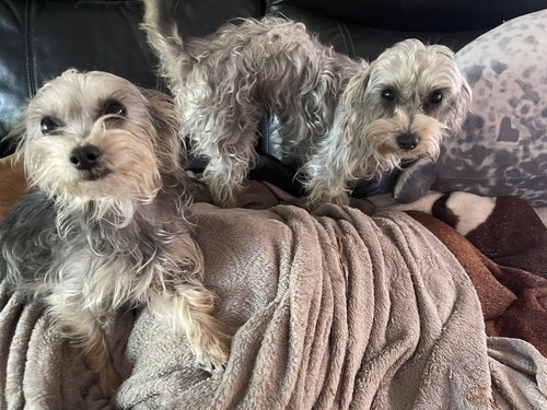 Thelma (& Louise)