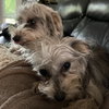 Thelma (& Louise)