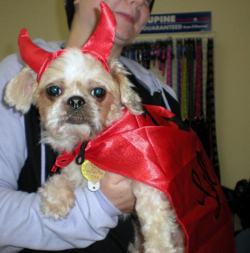 Yoda - Finley