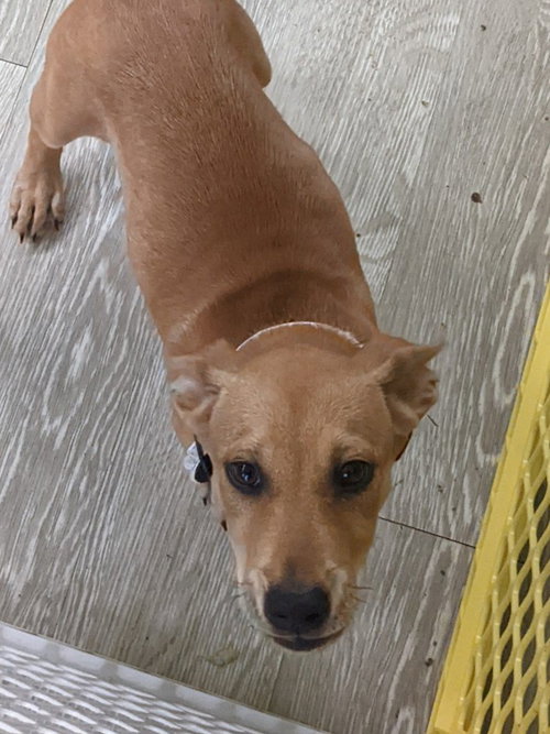 Milo