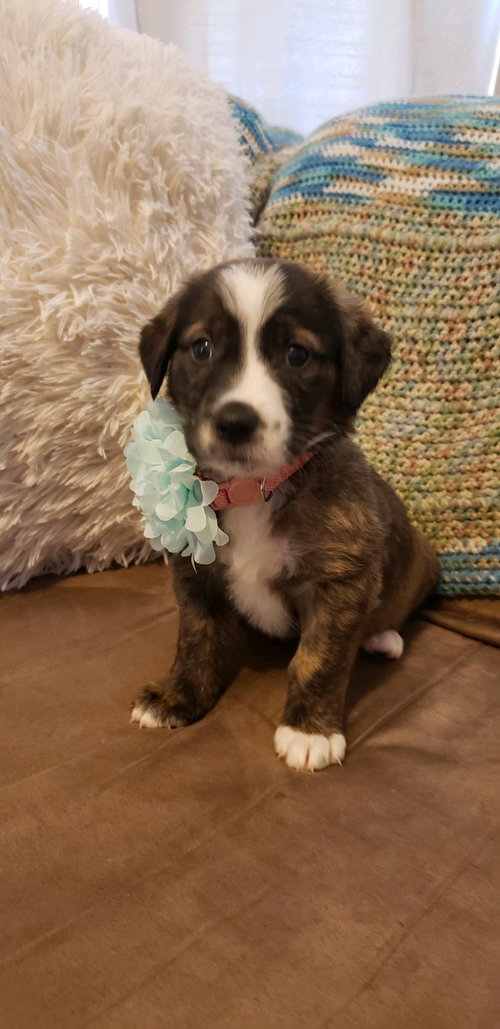 Chloe