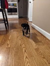 Lucy