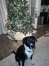 Lucy