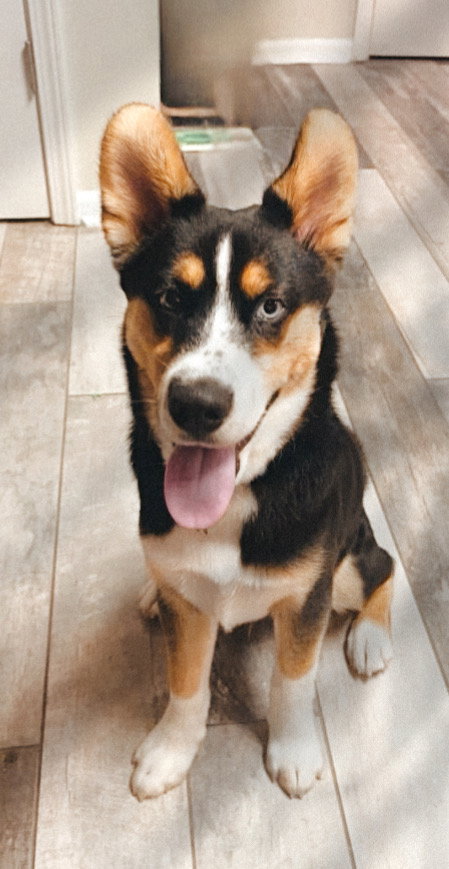Klondike
