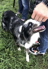 Gus