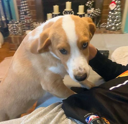 Gus