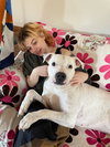 Max (Hospice / Courtesy)