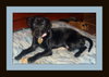 Punkin-Application Pending