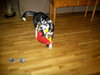 Dudley - Application Pending