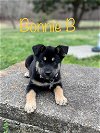 Bonnie B